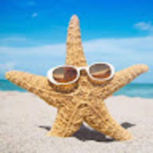 Meet your Posher, Pam